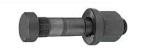 Truck Bolt DXTB002